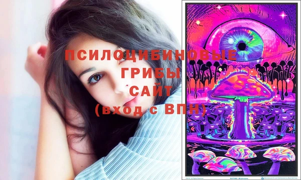 индика Бронницы